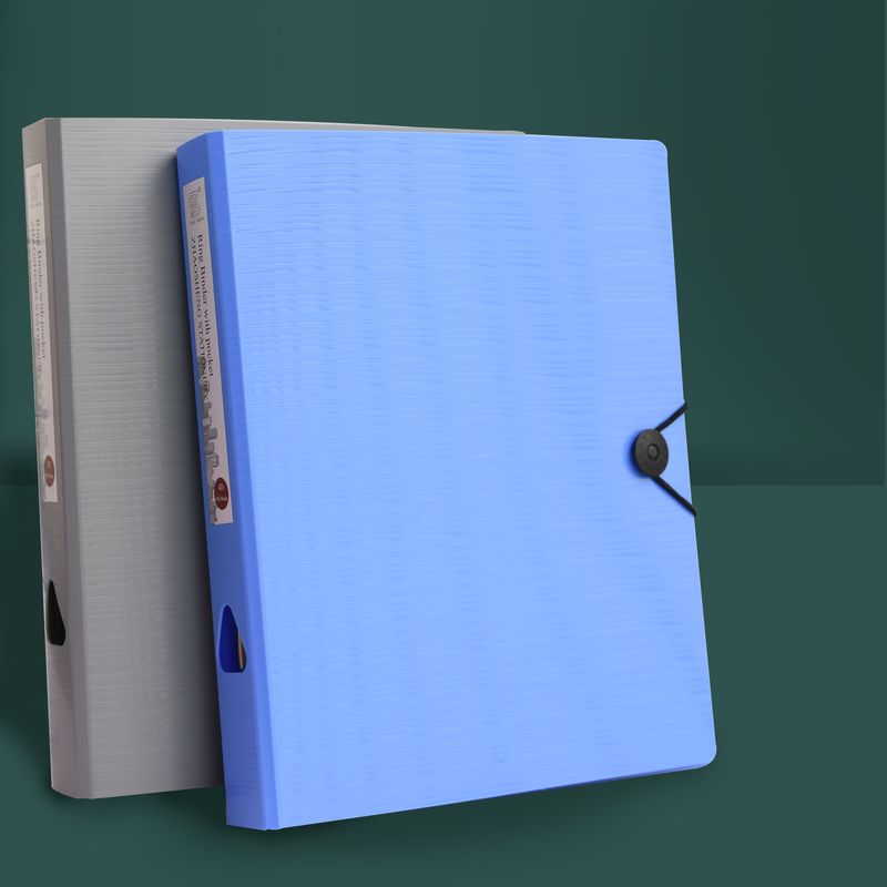 File Bag A4 Folder Storage Clip File Binder 11-Hole Protective Cover Organize Folders 3-Hole Transparent Pocket Students' Office Stationery Supplies
