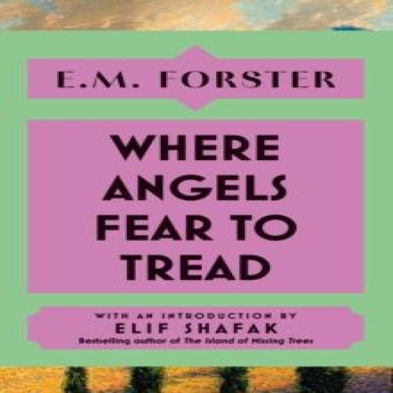 Where Angels Fear to Tread by E M Forster Hardback Book 9781399736169