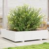 VidaXL Planter White 100x100x26.5 Cm Solid Pine Wood, Outdoor Planter, Flower Box, Plant Box, 847319