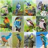 DIY Diamond Painting The Bird Cross Stitch Kit Mosaic Art Diamond Painting Full Circle/Square Diamond Home Decoration
