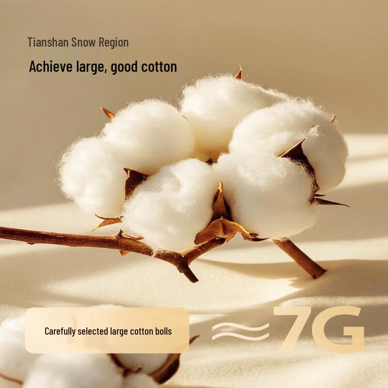 Mercury Home Textiles 100% Xinjiang Cotton Duvet