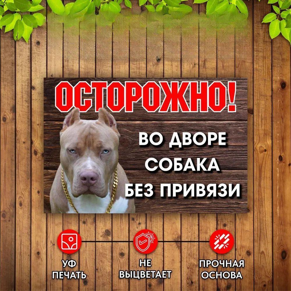 Осторожно Собака во дворе Без поводка