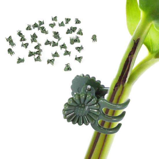 100 шт. зажим для стебля орхидеи универсальные стабильные экологически чистые зажимы для поддержки растений для более здоровых продуктивных растений