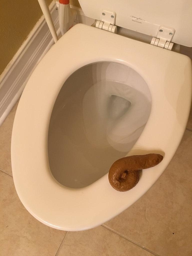 Искусственная человеческая какашка