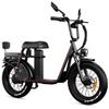 Electric Bicycle Drvetion ET20 20" Fat Tire 1000W Peak Motor City Electric Bike For Adult 48V 20AH NFC One Click Unlock Dual Hydraulic Brake