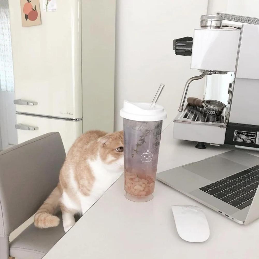 Transparent Water Cups 355ml/473ml Drinking Bottle Portable Water Bottle For Juice Milk Tea Coffee