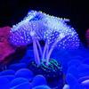 Aquarium Accessories Anemone Weed Fish  Accessories Plastic Decorate Decoration Simulate Artificial Glowing Plants Aquatic
