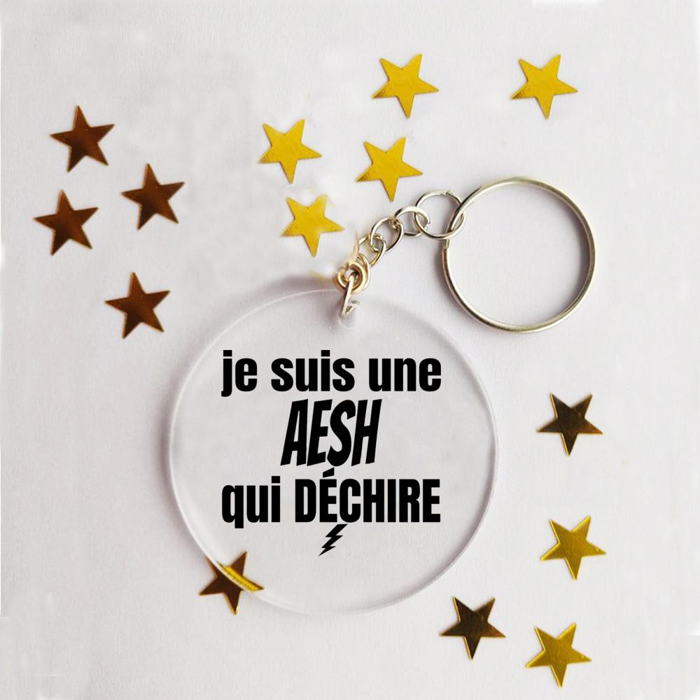 AESH In France Acrylic Key Chains Teacher'day Original and Practical Teacher'gift Key Chain Ring Chains Acrylic Ornaments