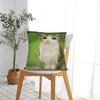 Pillow Cover Internet Famous Meowl Cat Owl Meme  Morden Pillow Case For Sofa Home Decoration Pillowcases