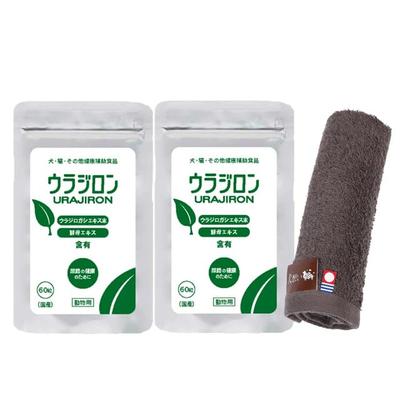 Scarecrow Dog and Cat Supplement Uradiron Set of 2 Hand Towel Color [Imabari Present] [Towel Mocha] [Original Product]