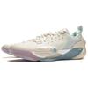 Li Ning All City 13 Низкие Баскетбольные Кроссовки Мужские Бело-Синие ABAV017-1