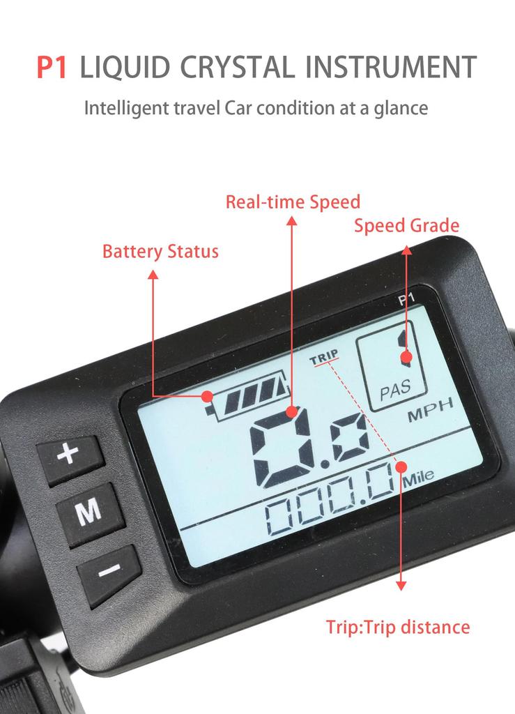 DZ2030 E-Bike 800W Motor 48V16AH Removable Battery Food Delivery Electric Bicycle 20*4.0 Fat Tire Adult Delivery Electric Bike