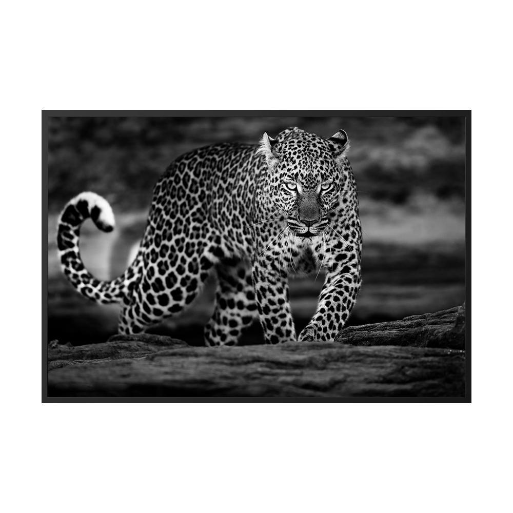 Леопардовые фотографии, постеры, принты, гепард, холст, картина, настенное искусство, черно-белое животное для гостиной, домашний декор, Cuadros