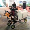 300L Hand-Pushed Agricultural Mist Sprayer for Livestock Disinfection and Pest Control