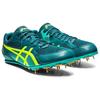Asics Effort 13 Профессиональные кроссовки для бега с низким верхом Унисекс Кроссовки для бега Темно-зеленый 1093A167-300