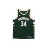Баскетбольная майка NBA Milwaukee Bucks Giannis Antetokounmpo Icon Edition Dri Fit Swingman 864489-323