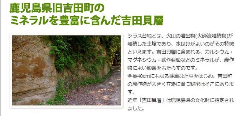 [Set of 2] Satsuma Natto Bean Toothpaste 110g Made In Kagoshima