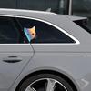15*18 см наклейки для салона автомобиля наклейки с изображением кошек забавные виниловые наклейки для стайлинга автомобиля декоративные аксессуары