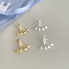 925 Silver Needle Star Moon Hanging Earrings Female Mori Sweet Premium Brushed Earrings Niche Fashion Earrings