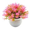 Artificial Plant Pot Ornamental Photo Props Plastic Desktop Fake Grass Plants for Outdoor