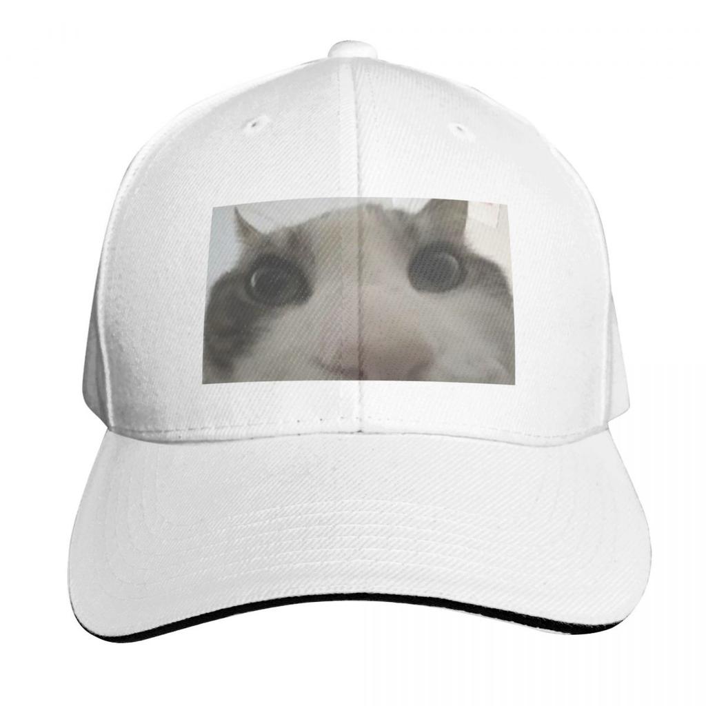 Cat looking inside box meme Baseball Cap party Hat Unique hats Sports Cap fun hats Hats Women Unisexs