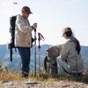 Beishanlang Ultralight Folding Carbon Fiber Trekking Pole