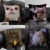 Подушка Чехол Смешные Мемы с Домашним Котом Мягкая Плюшевая Ткань Двусторонняя Печать Декоративный Подарок для Дома Гостиной Наволочка