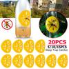 20-5Pcs Reusable Wasp Trap Insect Funnel Killer Flower Bee Hornet Catcher Plastic Bottle Wasp Traps Garden Pest Control Tool