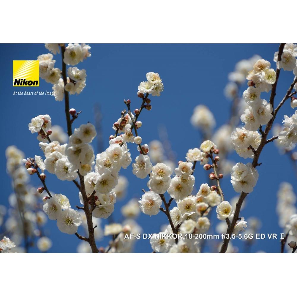 Зум-объектив Nikon с большим увеличением AF-S DX NIKKOR 18-200mm f3.5-5.6G ED VR II только для формата Nikon DX