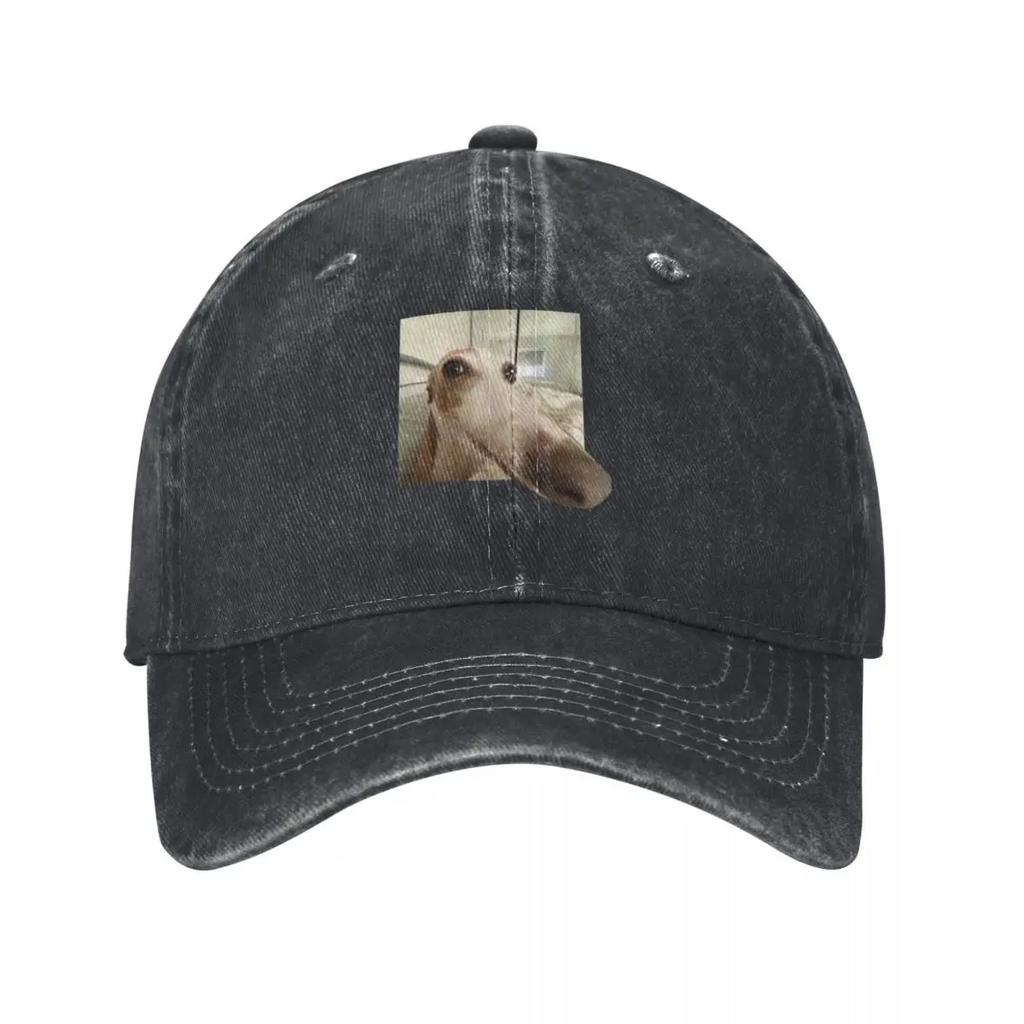 Funny Dog Baseball Cap hats on offer New In Hat Winter hat designer cap For Women  Unisexs