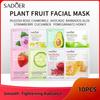 Plant Fruit Honey Moisturizing Facial Mask