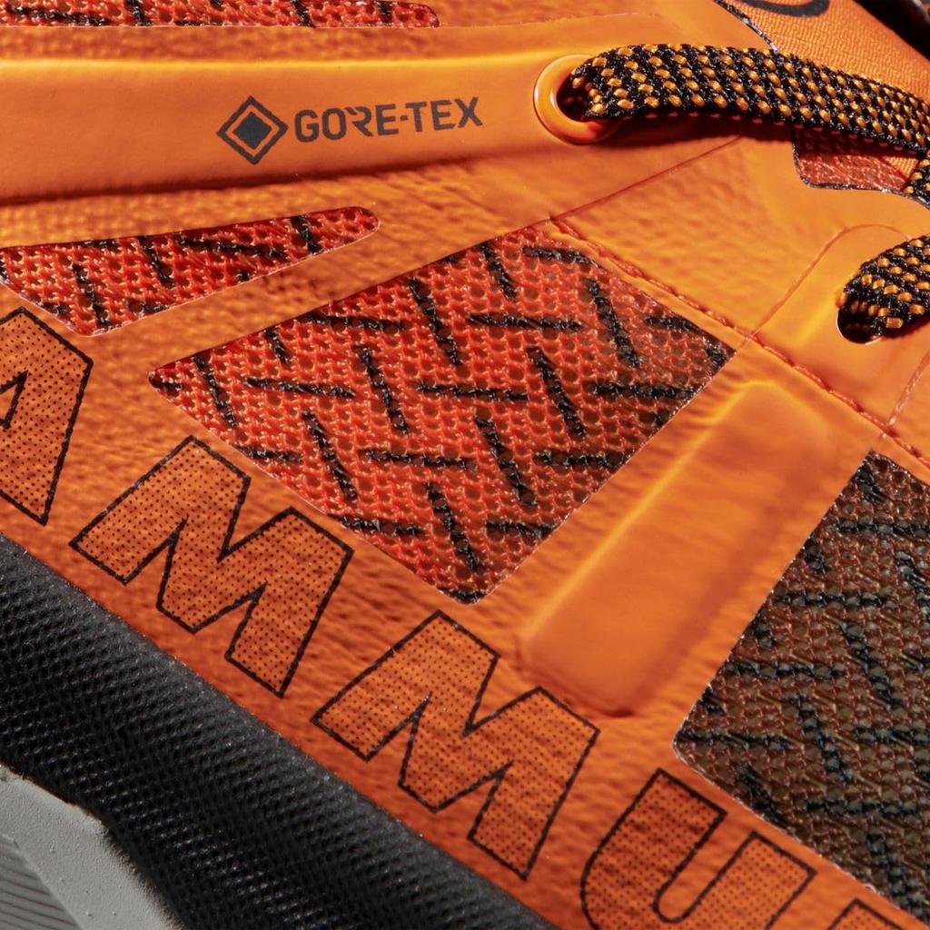 Sertig II Low GTX II Low GTX Men темно-мандариновый [Mammut] Мужские/Sertig 3030-04280 стальной-темный