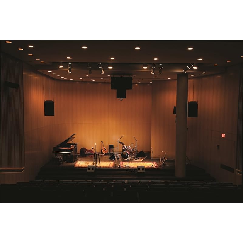 SHURE Конденсаторный микрофон для вокала KSM44ASL-X []