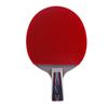 Double Fish 6D Table Tennis Racket Set