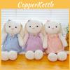 Rabbit Plush Giant Toy Bouquet With Pp Cotton Short Plush Kids Room Doll Decor