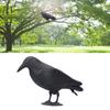 Crow Decoy Hunting Decoy Simulation Plastic Crow Statue Hunting Bait Decoys Tool for Outdoor Garden Decoration Garden Decoration