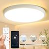 Умный светодиодный потолочный светильник, ультратонкий потолочный светильник с пультом дистанционного управления, затемняющая панель, потолочный светильник для спальни, кухни
