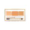 Cezanne Palette Concealer High Cover, 4,5 г, высокая адгезия, 3 цвета, двусторонняя кисть, бежевый