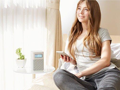 Sony Home Radio SRF-V1BT: FM/AM/Wide FM/Bluetooth Compatible, White SRF-V1BT W
