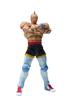 TAMASHII NATIONS Kinnikuman Super Phoenix Approximately 150mm Painted Movable Figure S.H.Figuarts ABS&PVC