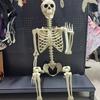 Realistic Full Body Human Bone Halloweens Props Flexible Joints Portable Plastic Indoor Outdoors Decoration
