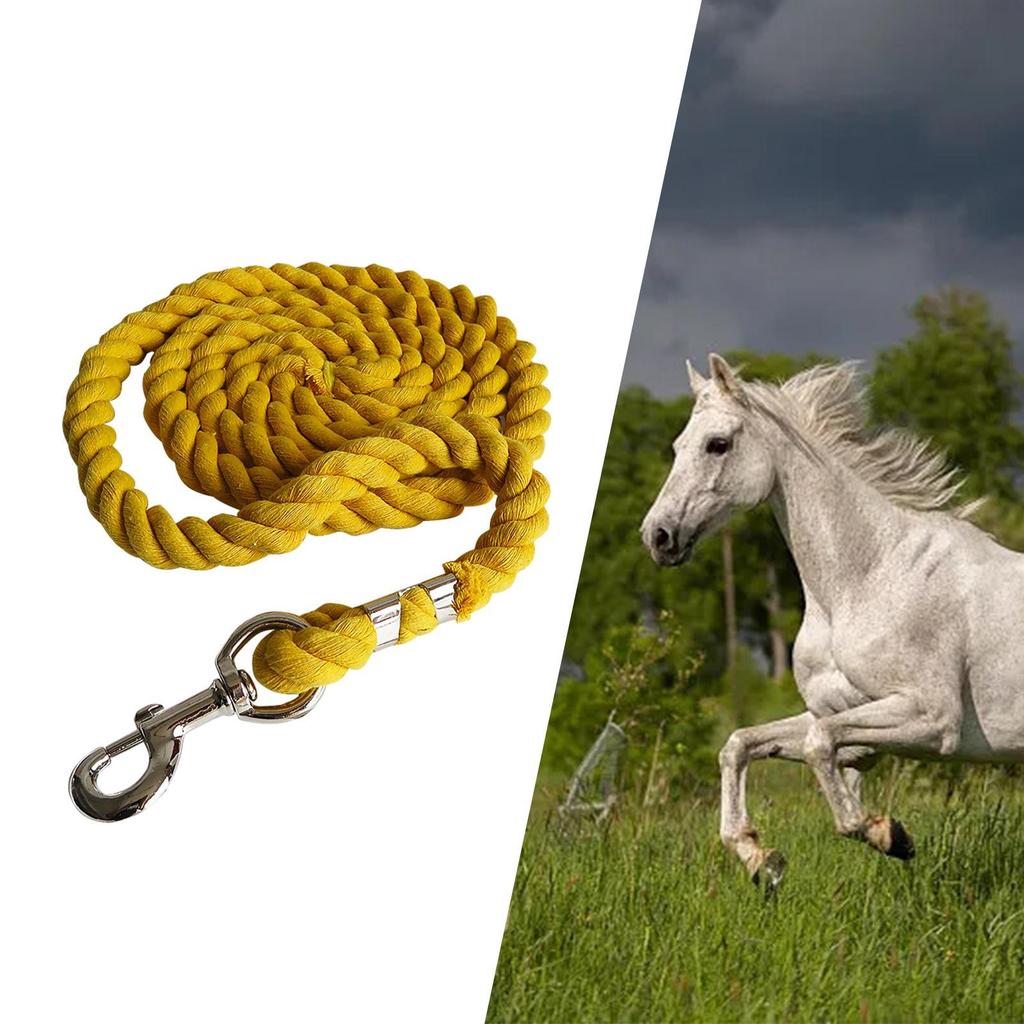 Durable And Practical Horse Rope for Training