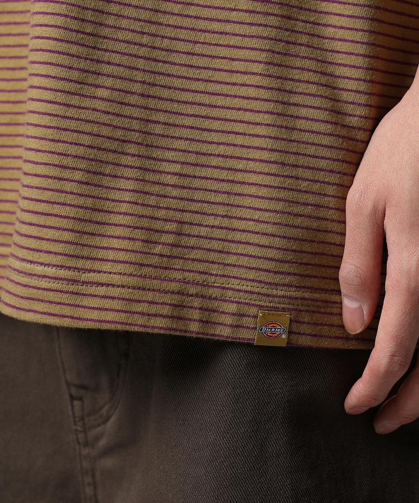 Dickies Полосатая футболка с монограммой Оливковая
