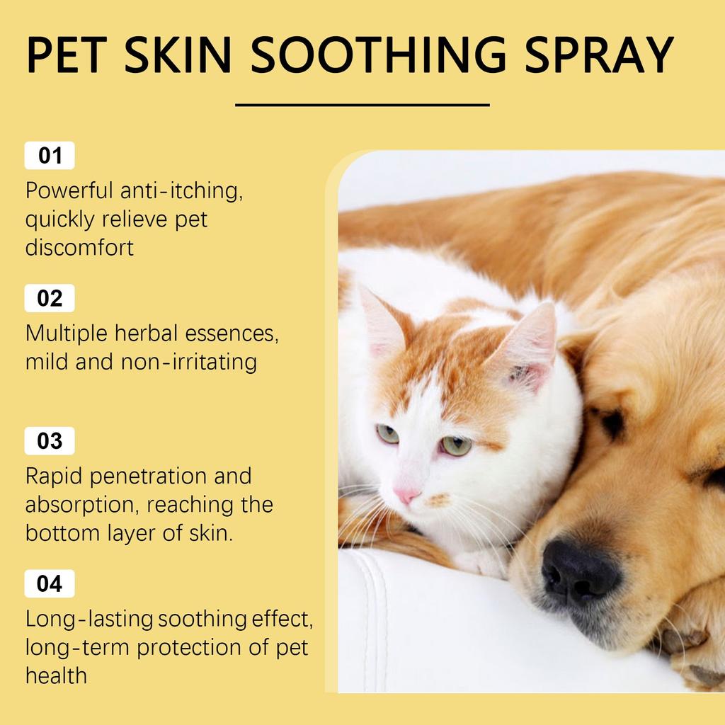 Pet Skin Spray Dog & Cat Skin Care Spray, Soothing Spray Cleansing & Softening Skin, Soothing -Itch Care Spray Nourishing Spray,50ML