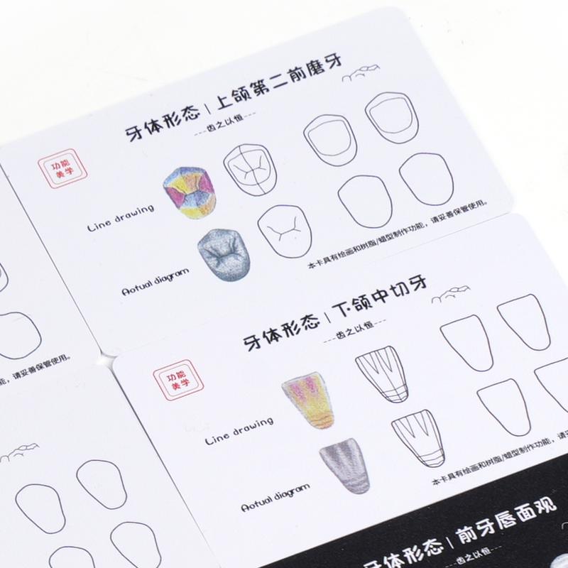 9Pcs Dental Composite Resin Filling Template Teeth Anatomical Model Board Build Up Restoration Cavity Practice