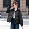 [One piece] Versatile small winter feather clothes women's fashion lapel thickened cotton-padded jacket