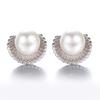 Корейские модные аксессуары для ушей, женские, серьги-гвоздики с жемчугом в виде морского гребешка