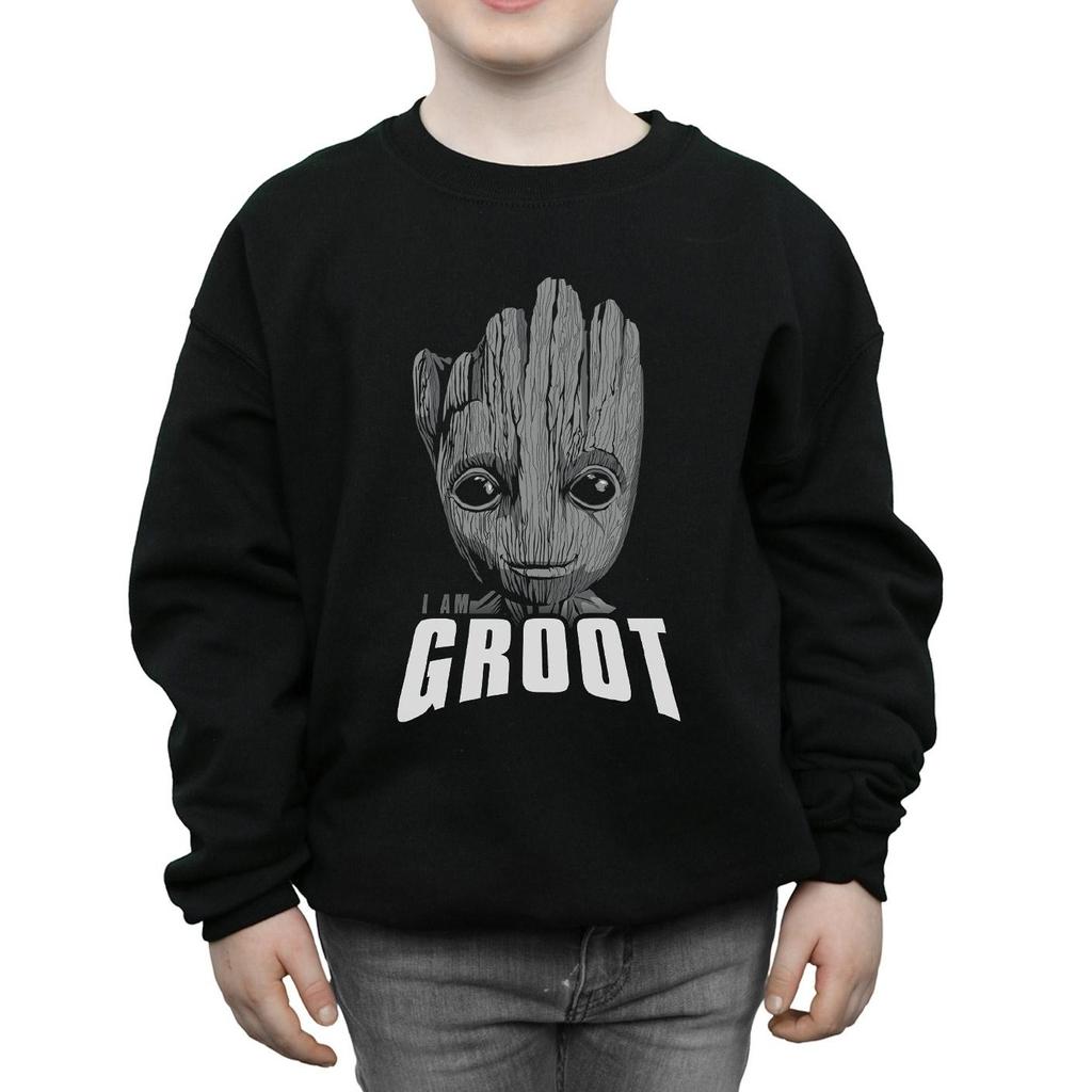 Marvel Boys Guardians Of The Galaxy Groot Face Sweatshirt