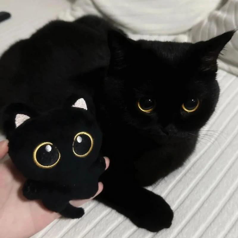 1/2 шт. Милая плюшевая игрушка-кукла в виде черного кота, маленький кулон, мягкая подушка-подушка, плюшевая игрушка-кукла черного кота для подарков на день рождения для мальчика девочки