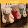 Soft Cute Teddy Bear Plush Toy For Room Decoration And Children Birthdays Gift